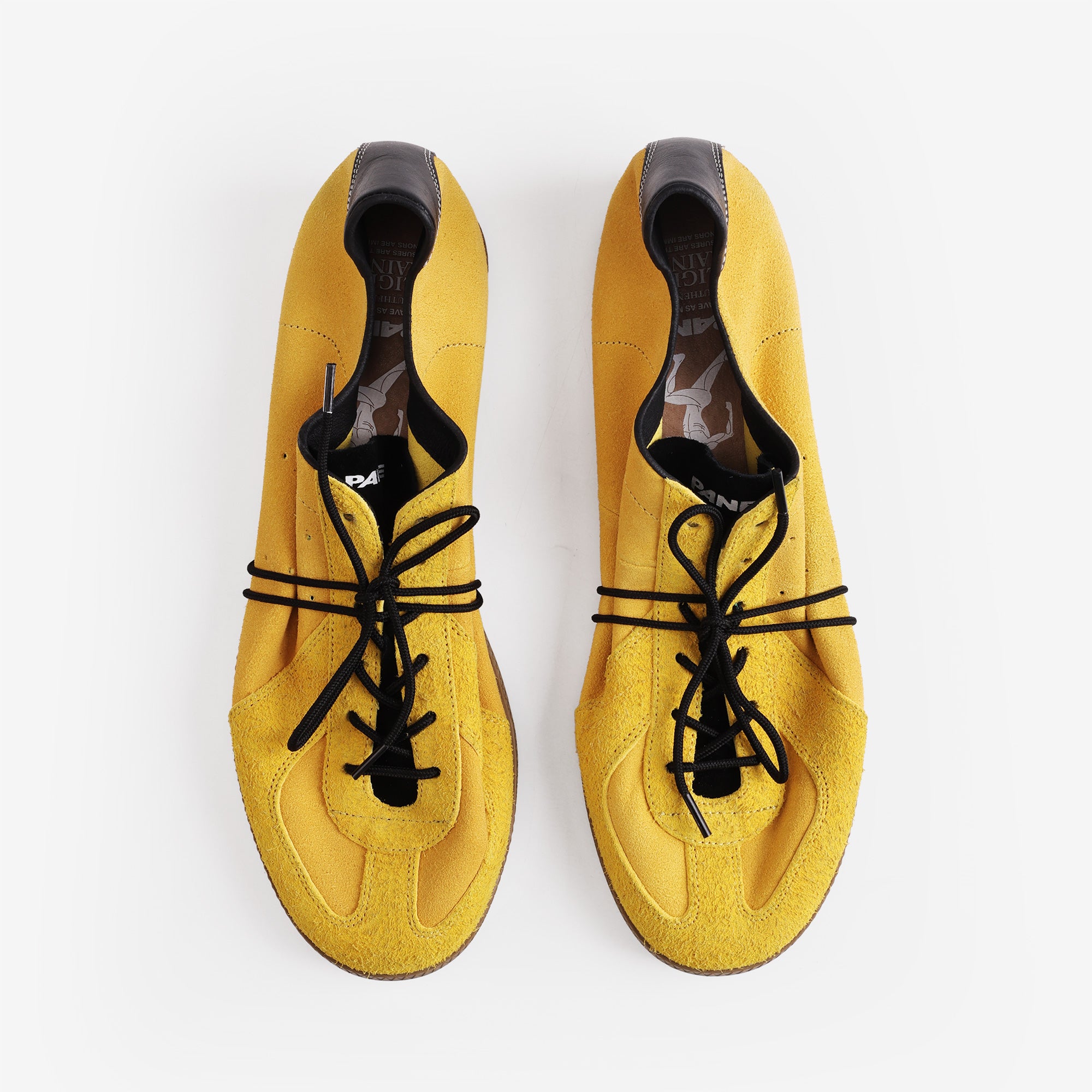 Pane Light Training Nogi Men’s Shoes – Hornet