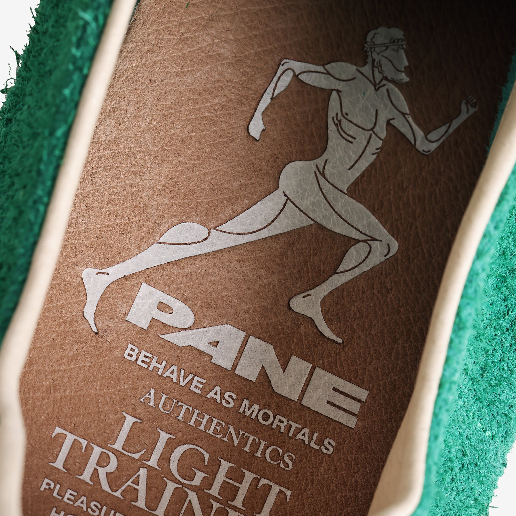Pane Light Training Nogi Men’s Shoes – Willow Creek