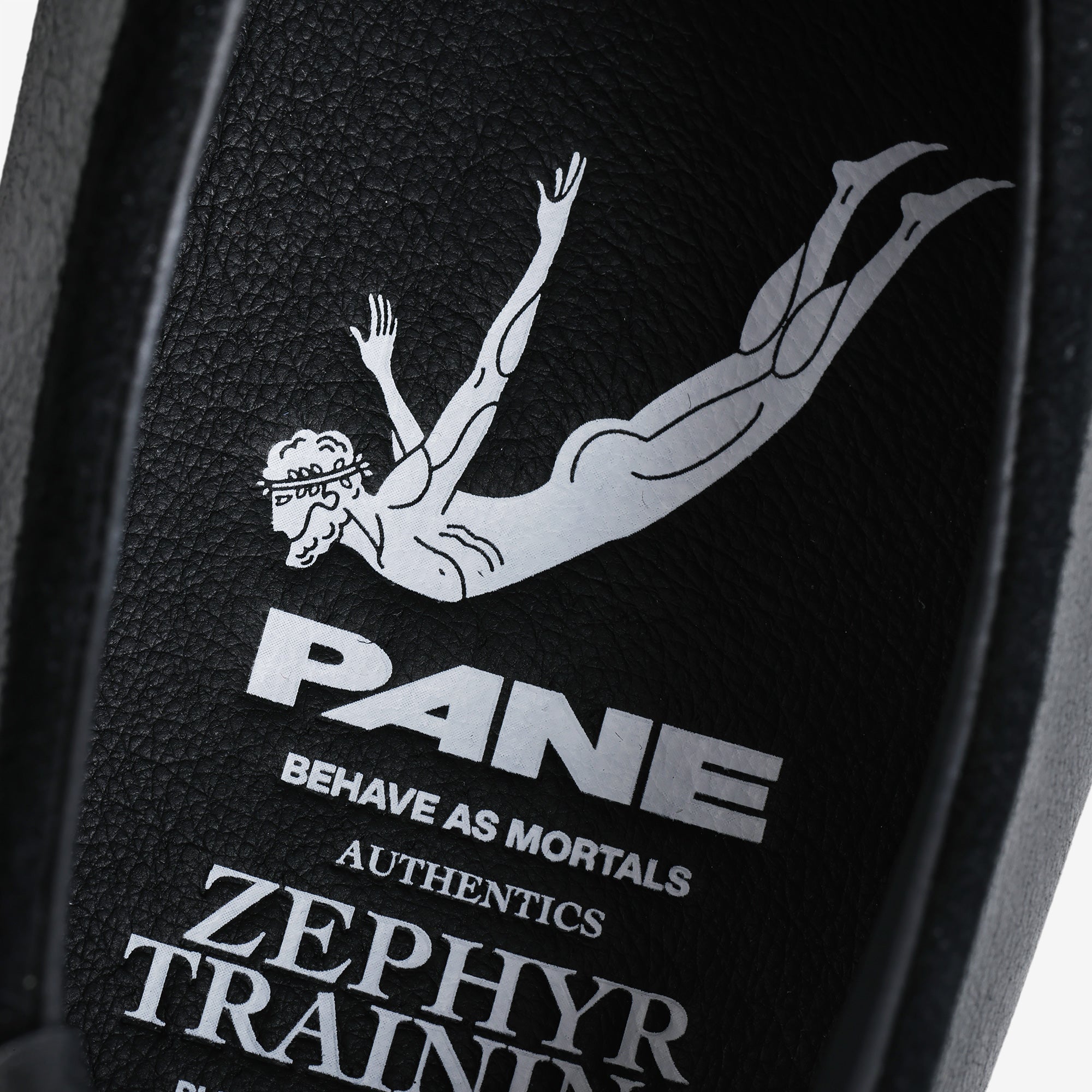 Pane Zephyr Training Men’s Shoes – Opaque