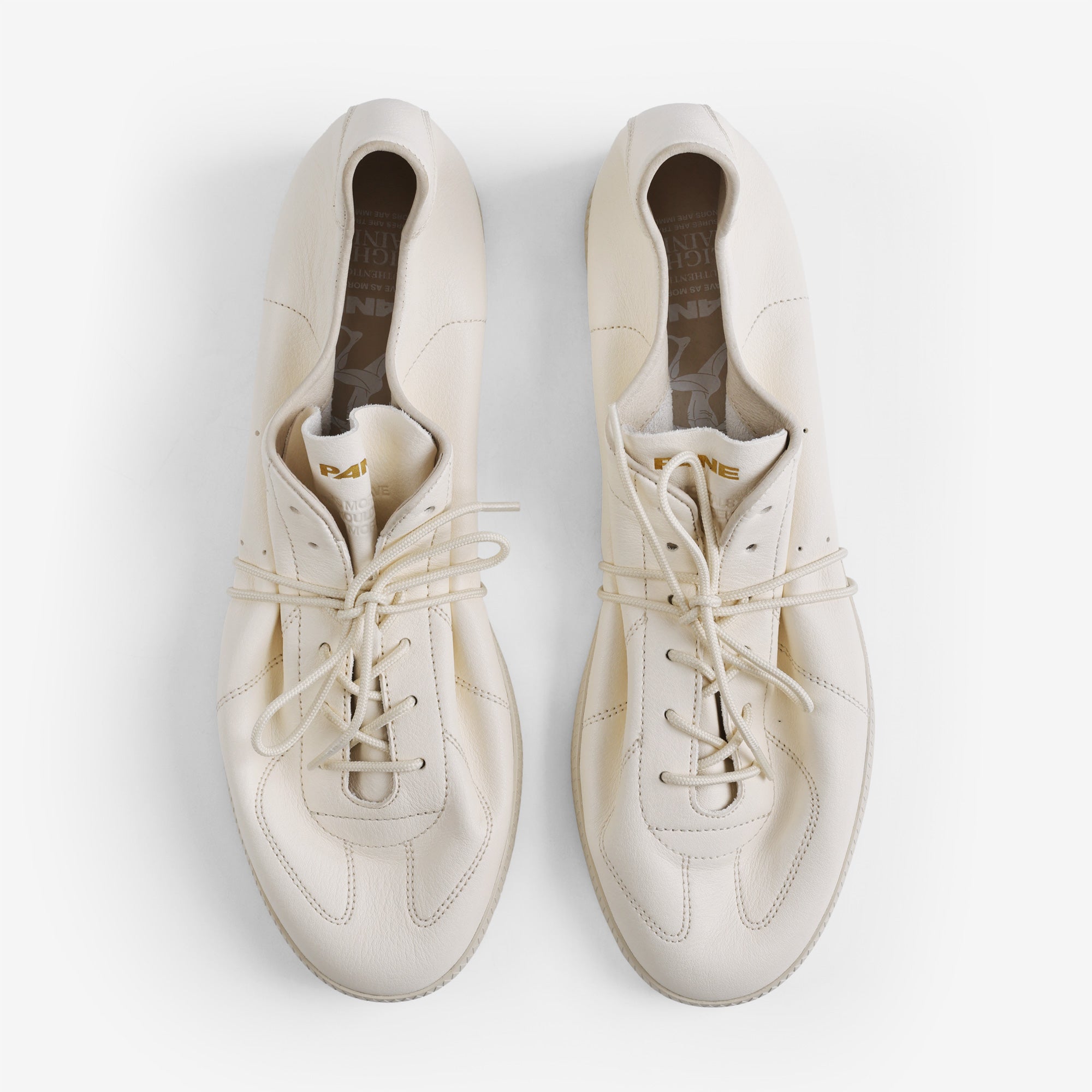 Pane Light Training Nogi Men’s Shoes – Achromate