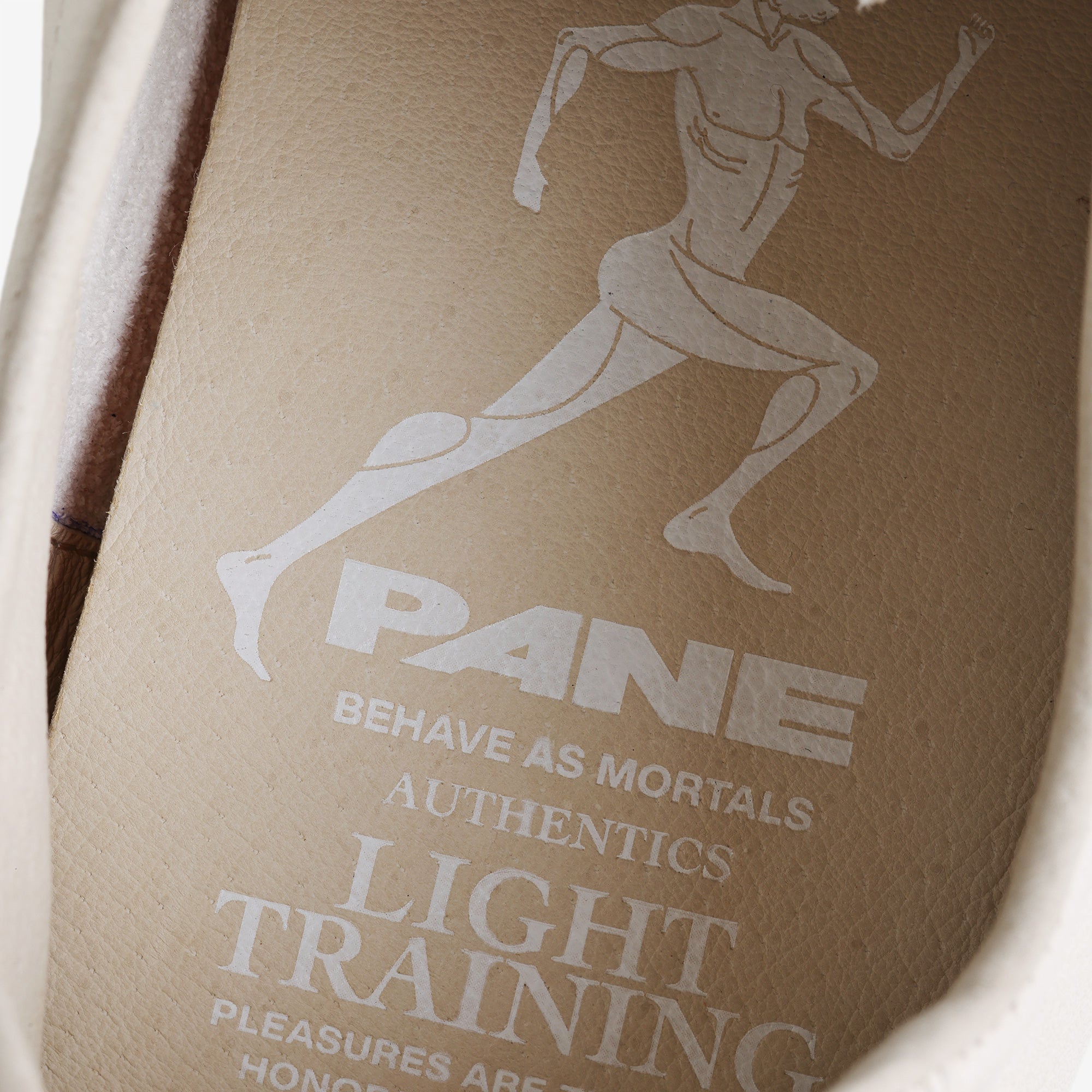 Pane Light Training Nogi Men’s Shoes – Achromate