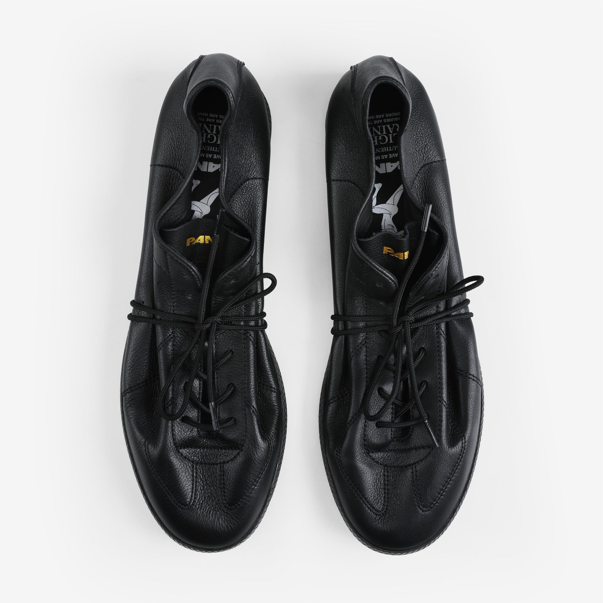 Pane Light Training Nogi Men’s Shoes – Mystique