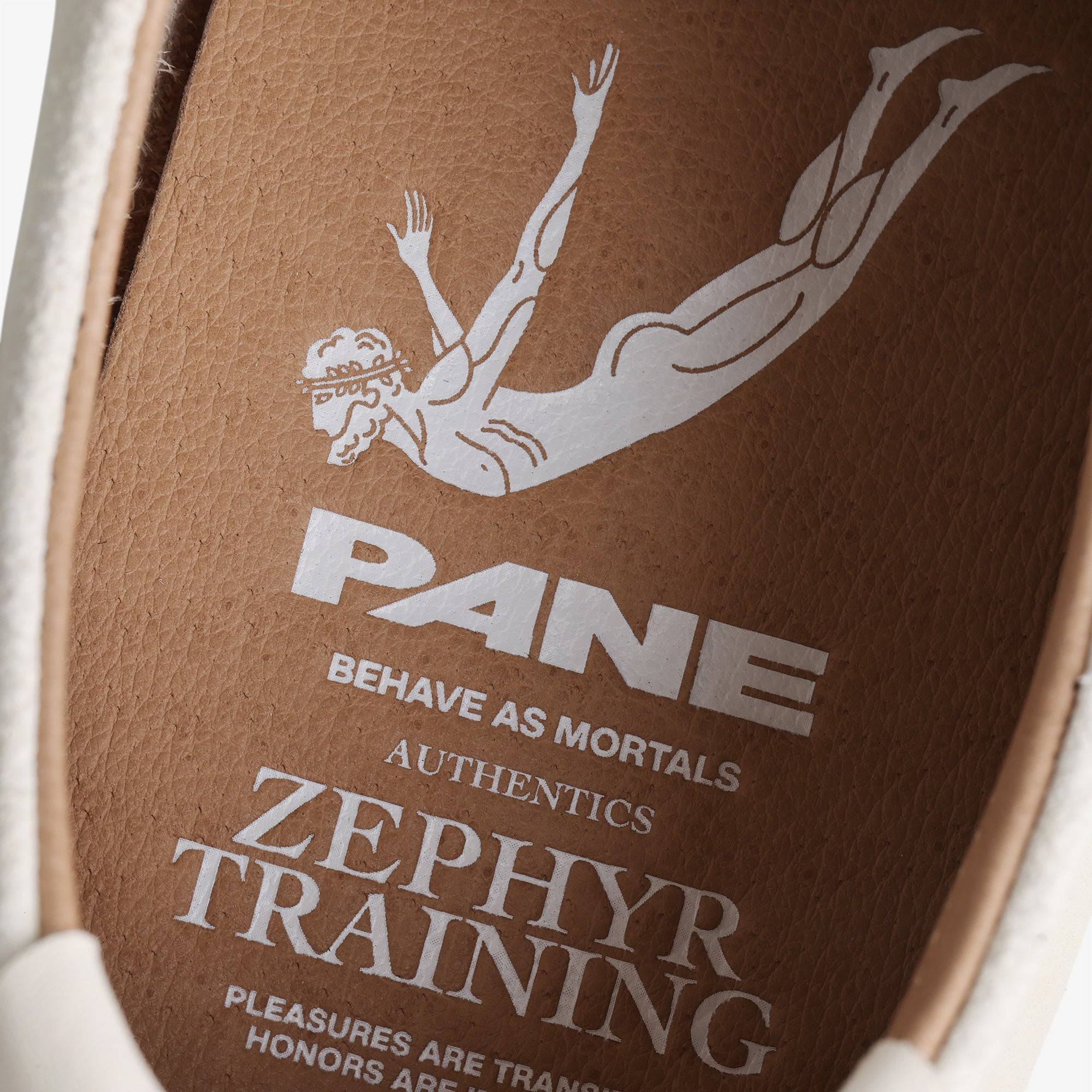 Pane Zephyr Training Men’s Shoes – Porcelain