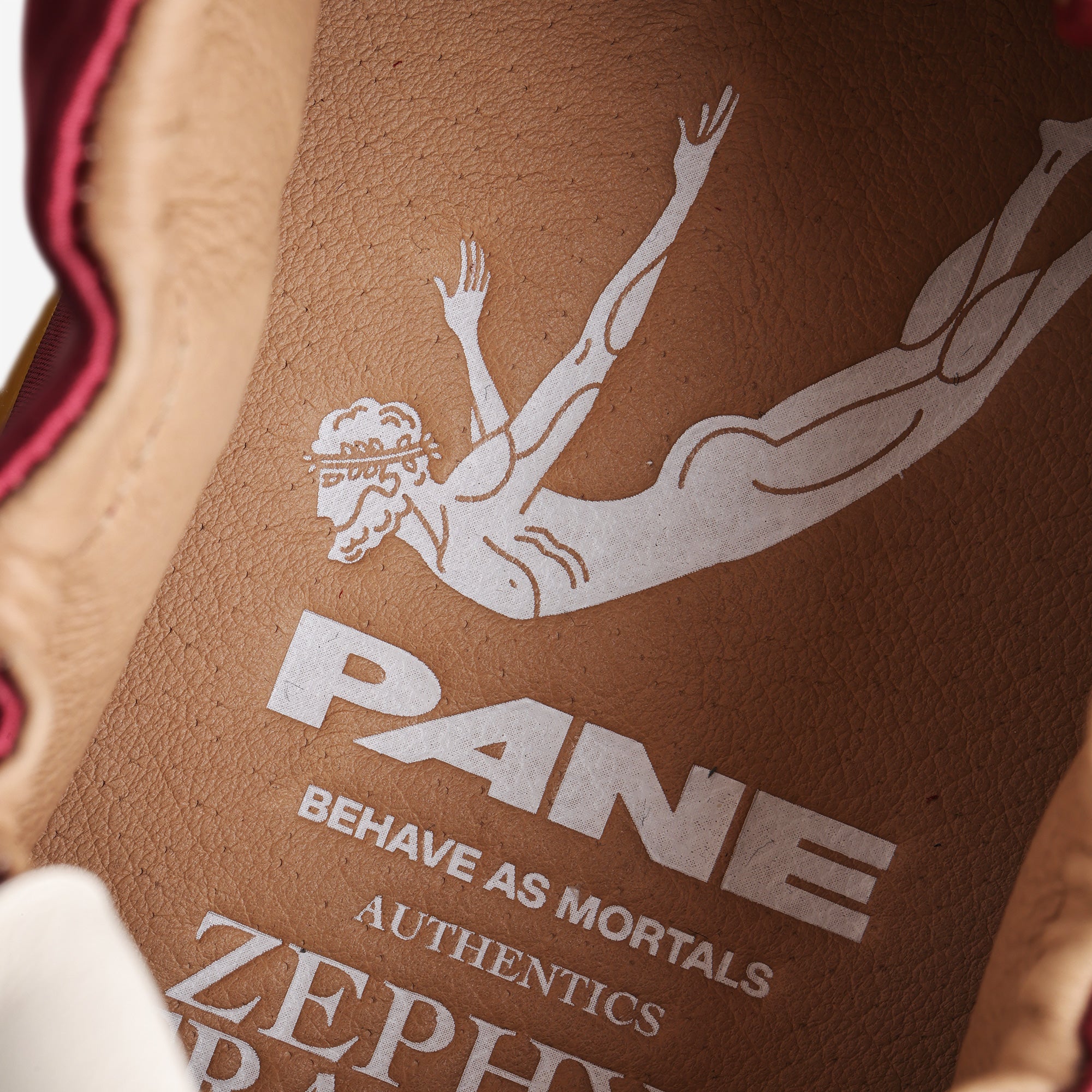 Pane Zephyr Training Men’s Shoes – Rowan