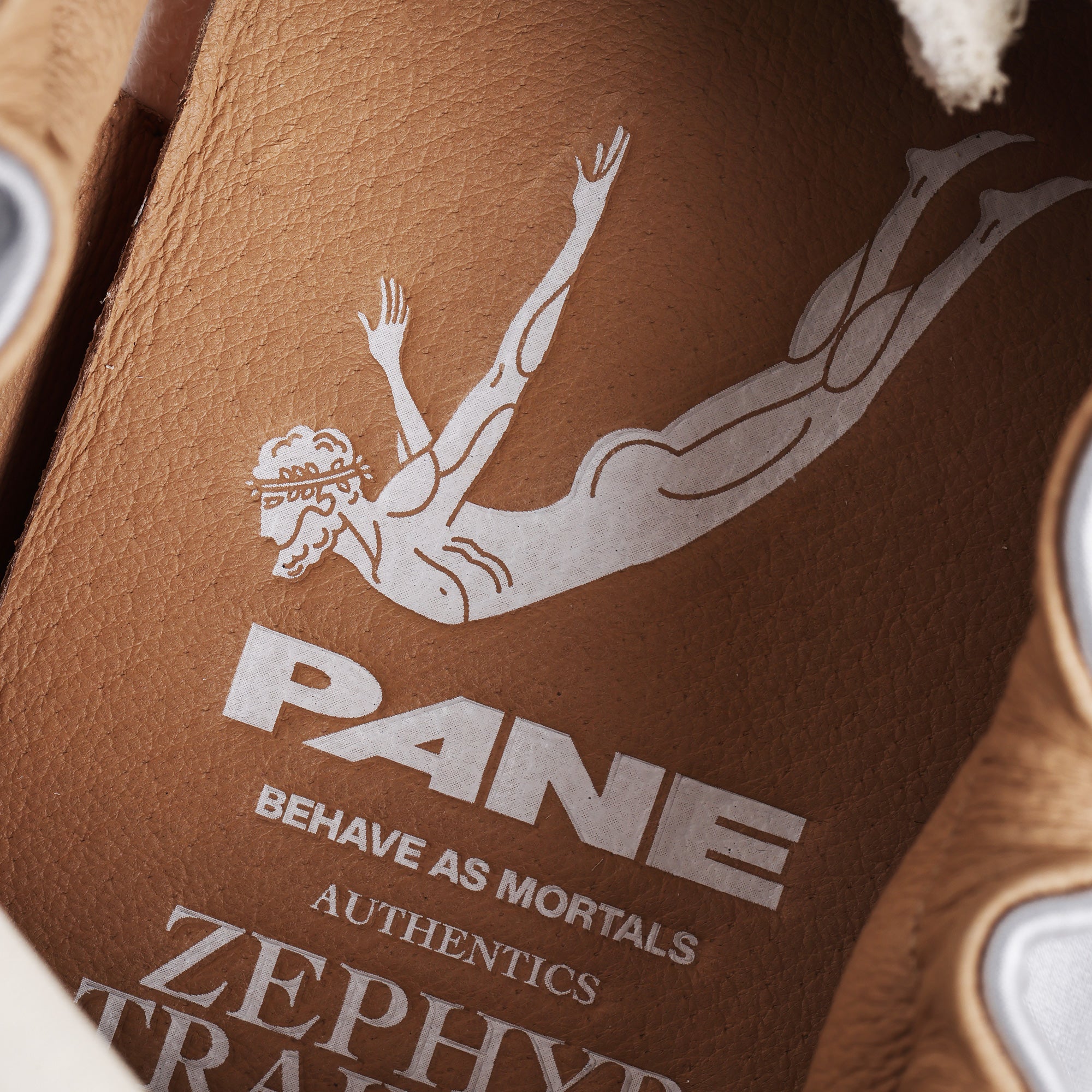 Pane Zephyr Training Men’s Shoes – Sterling