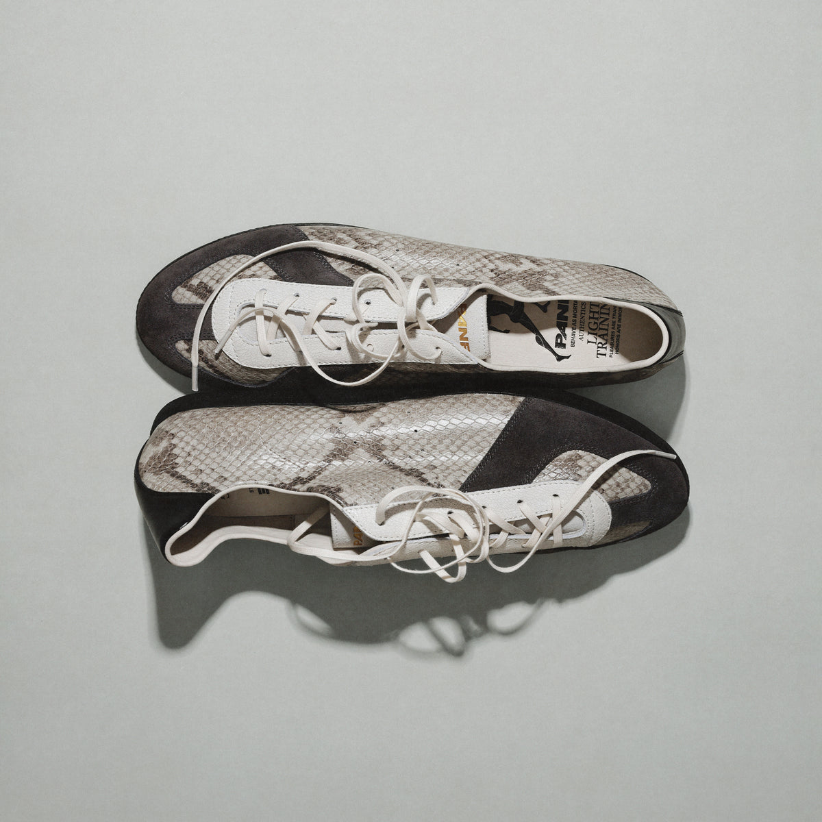 Pane Light Training Nogi Men’s Shoes – Gandal