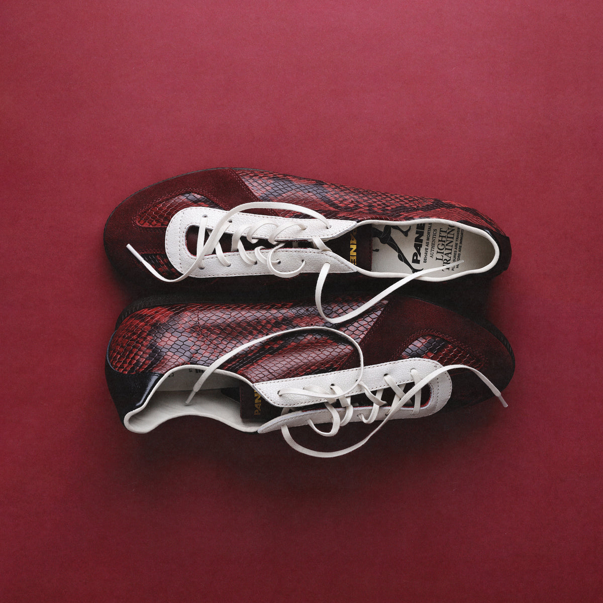 Pane Light Training Nogi Men’s Shoes – Siphlophis