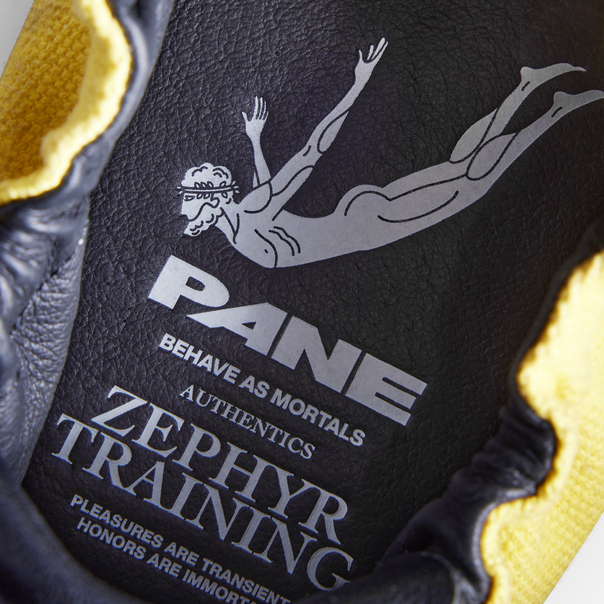 Pane Zephyr Training Pouching Men’s Shoes – Code Retro