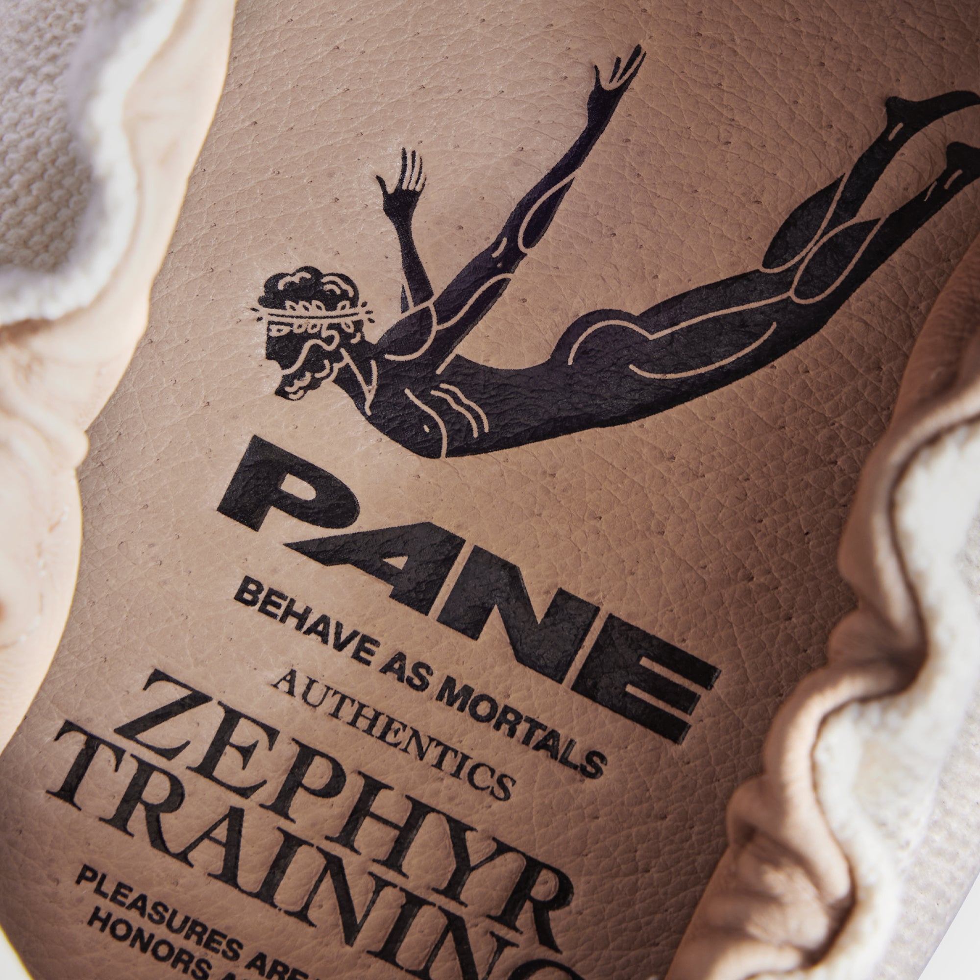 Pane Zephyr Training Pouching Men’s Shoes – Hologram Fade