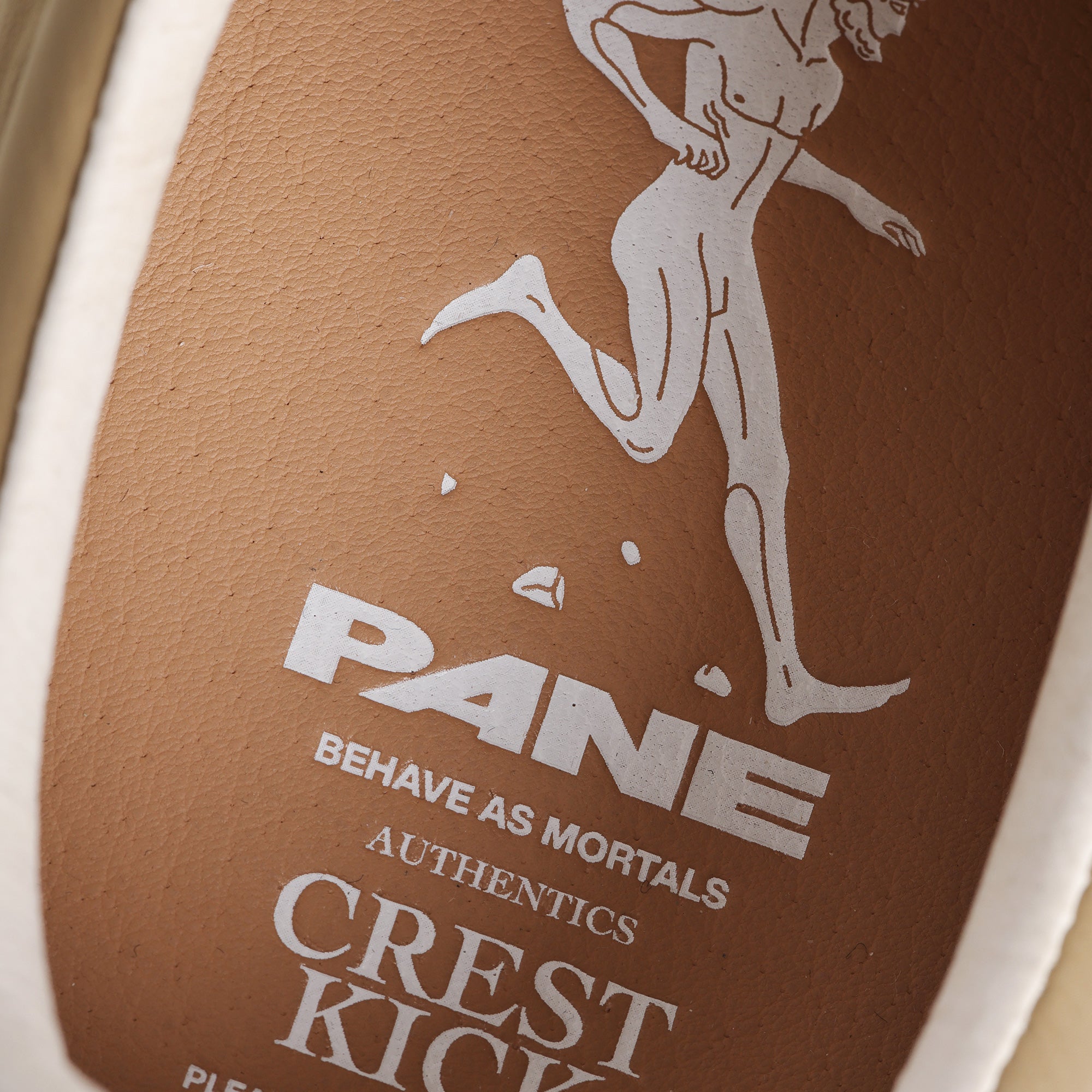 Pane Crest Kick Men’s Shoes – Talus