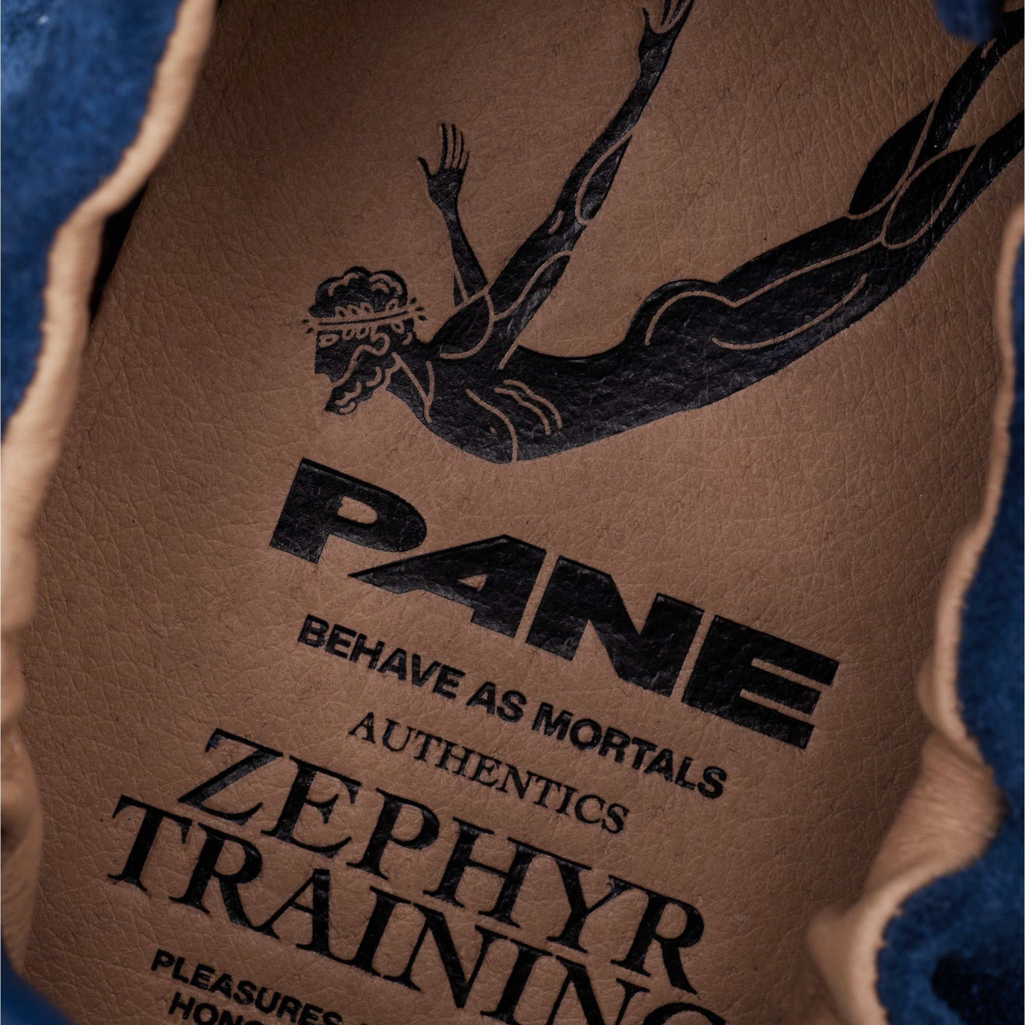 Pane Zephyr Training Pouching Women’s Shoes – Calaite