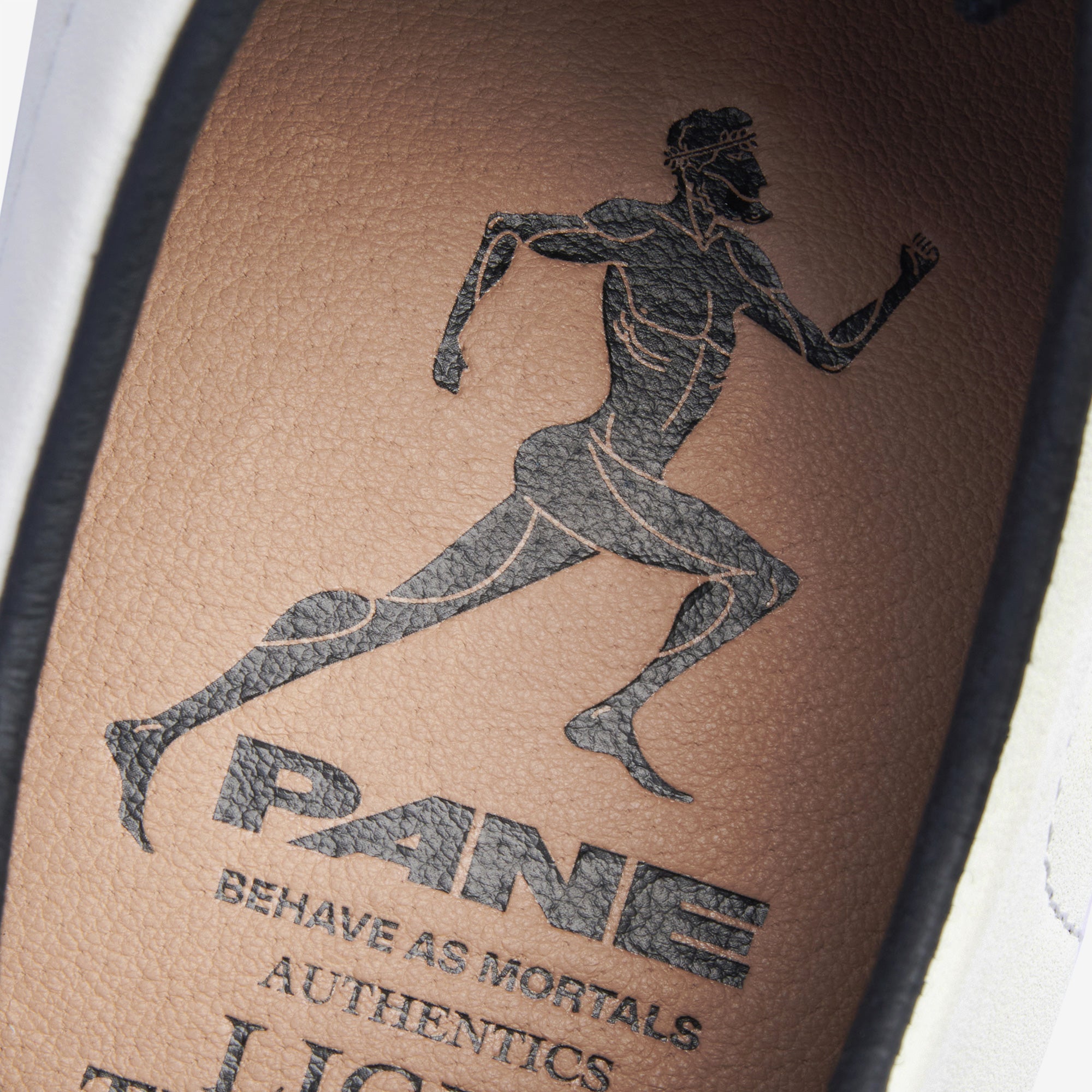Pane Light Training Nogi Men’s Shoes – Home Court