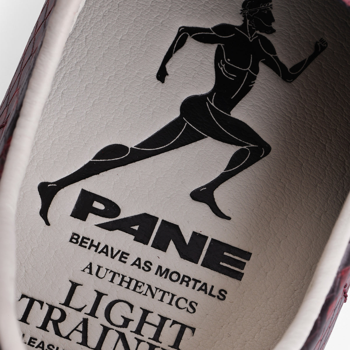Pane Light Training Nogi Men’s Shoes – Siphlophis