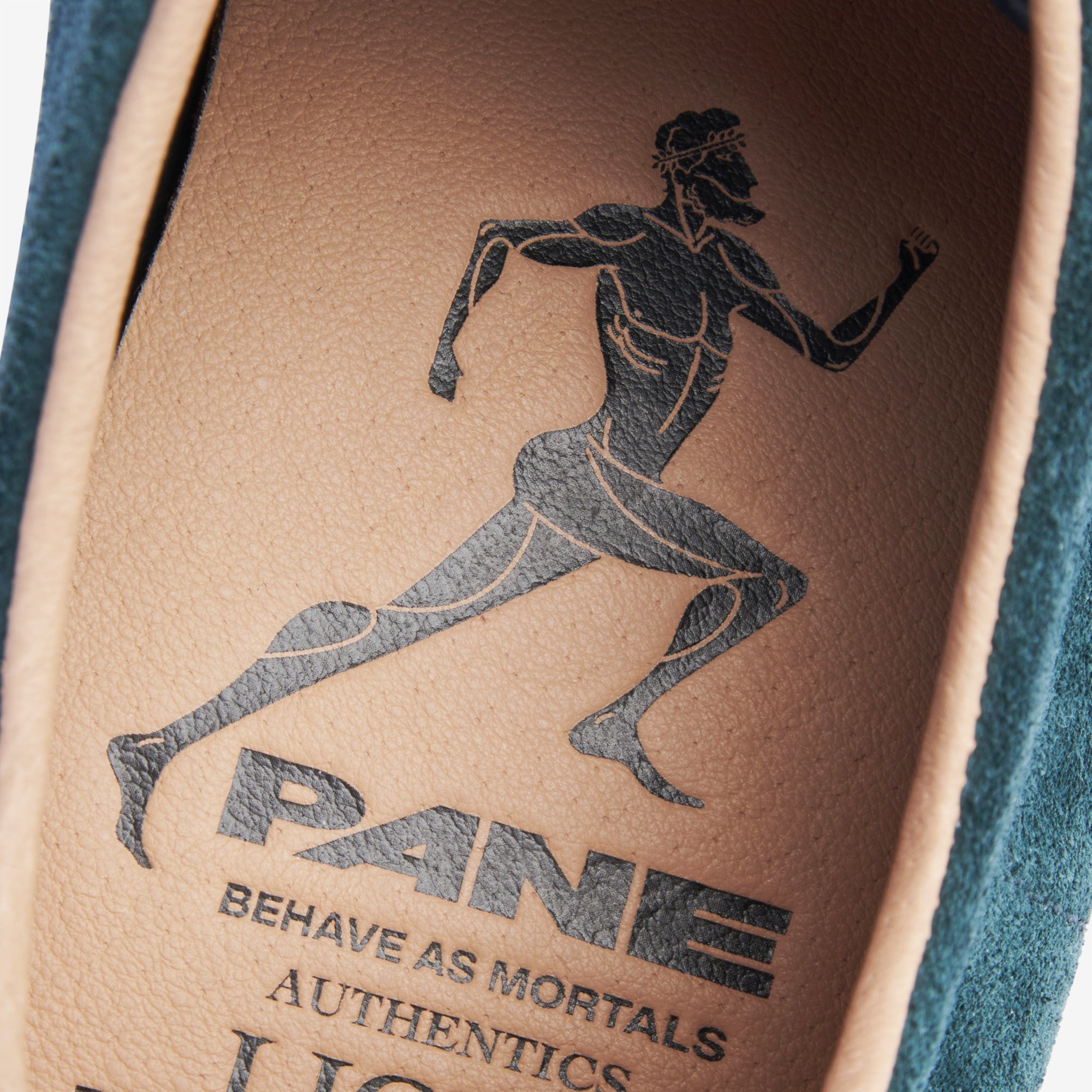Pane Light Training Nogi Men’s Shoes – Pine Mist