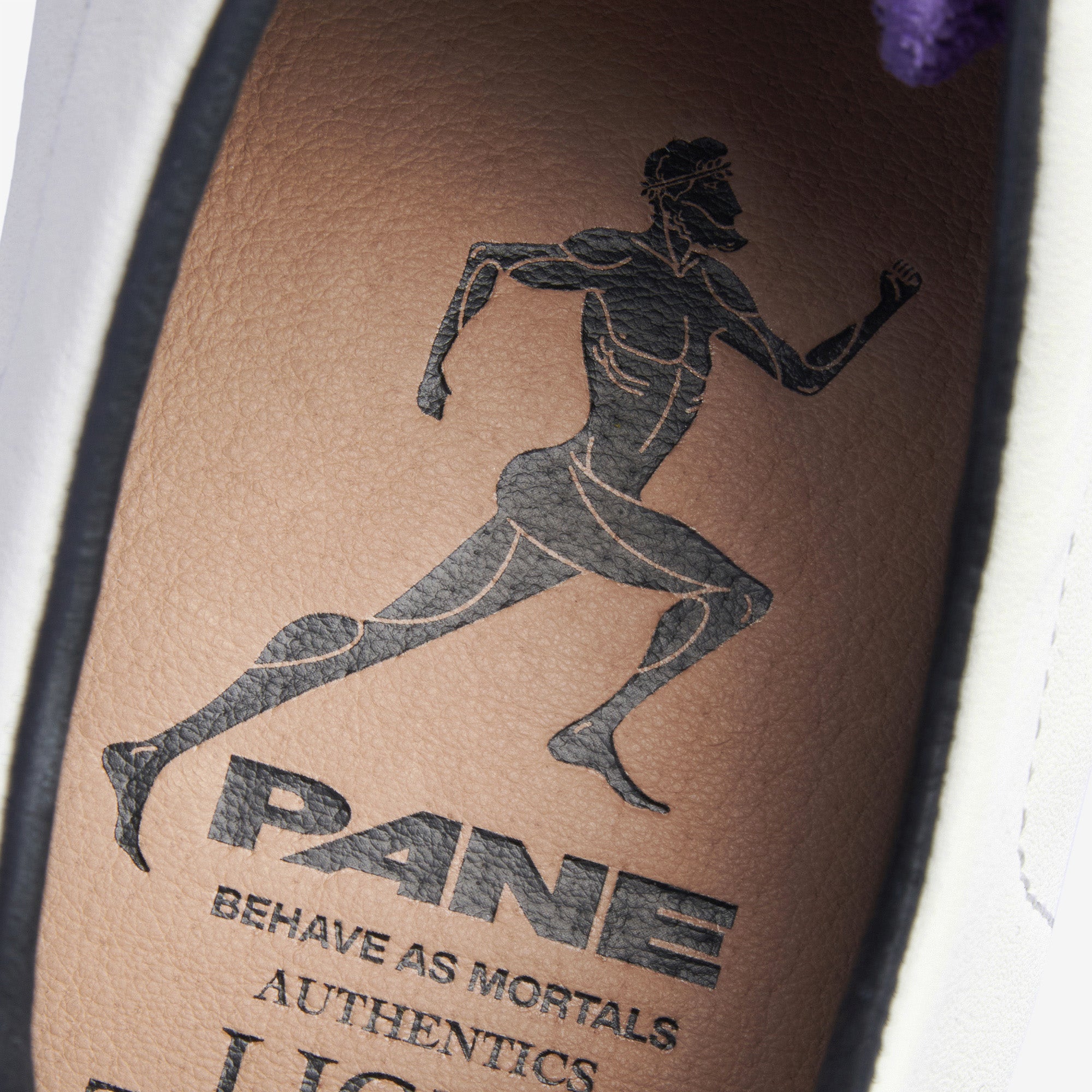 Pane Light Training Nogi Men’s Shoes – Tyrian