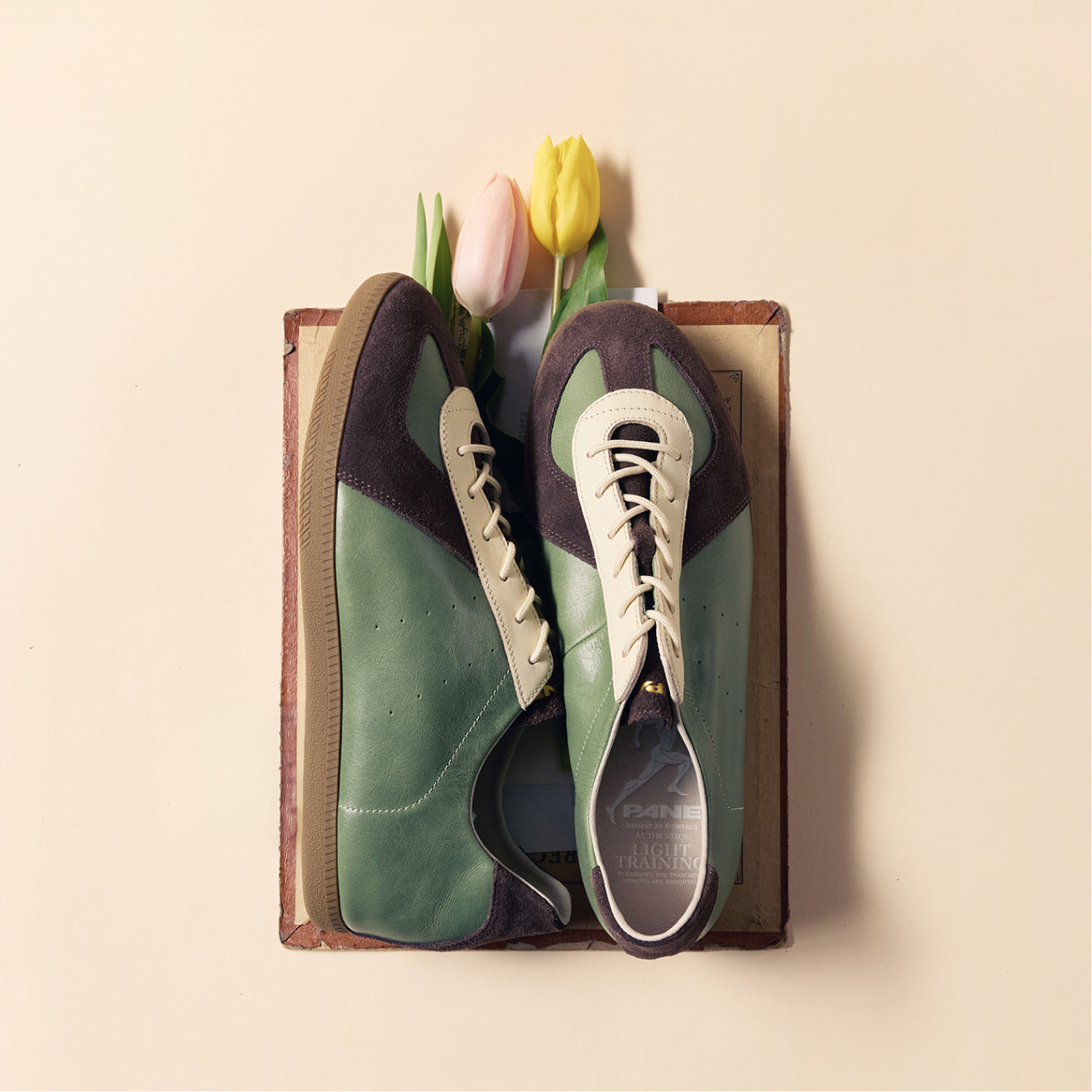 Pane Light Training Nogi Women’s Shoes – Mint