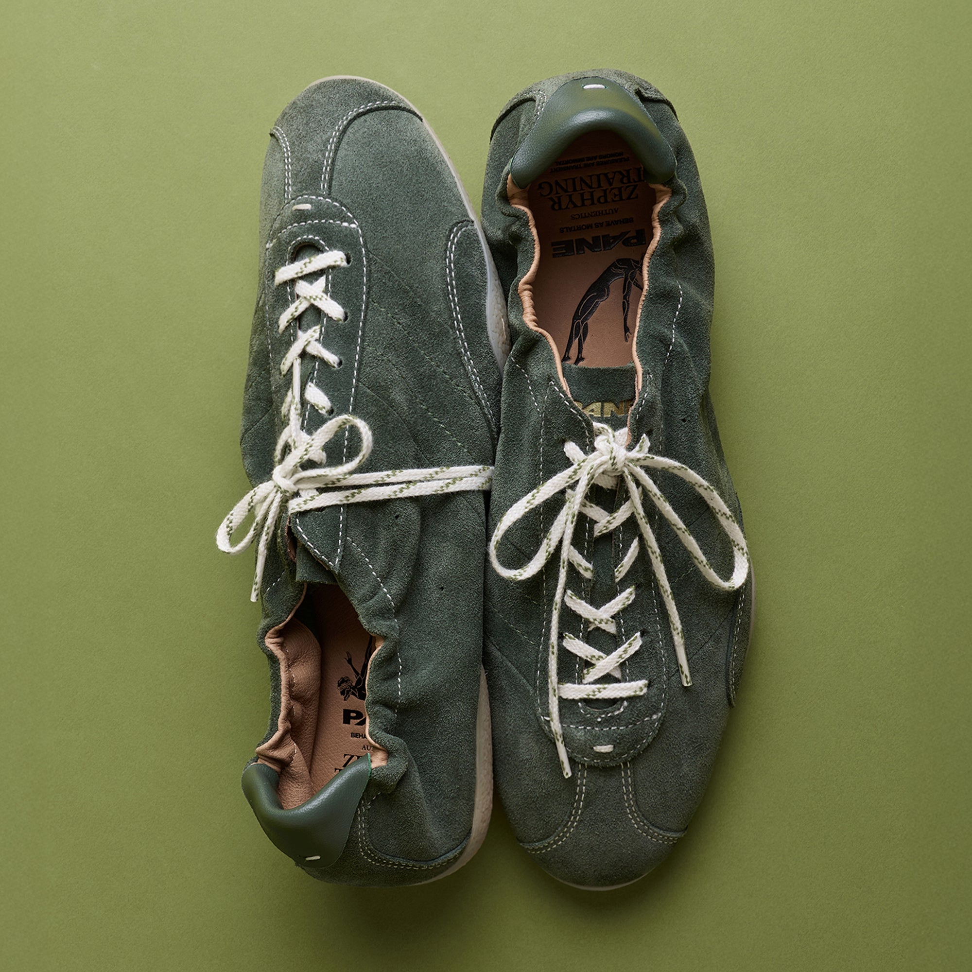 Pane Zephyr Training Pouching Men’s Shoes – Wastly