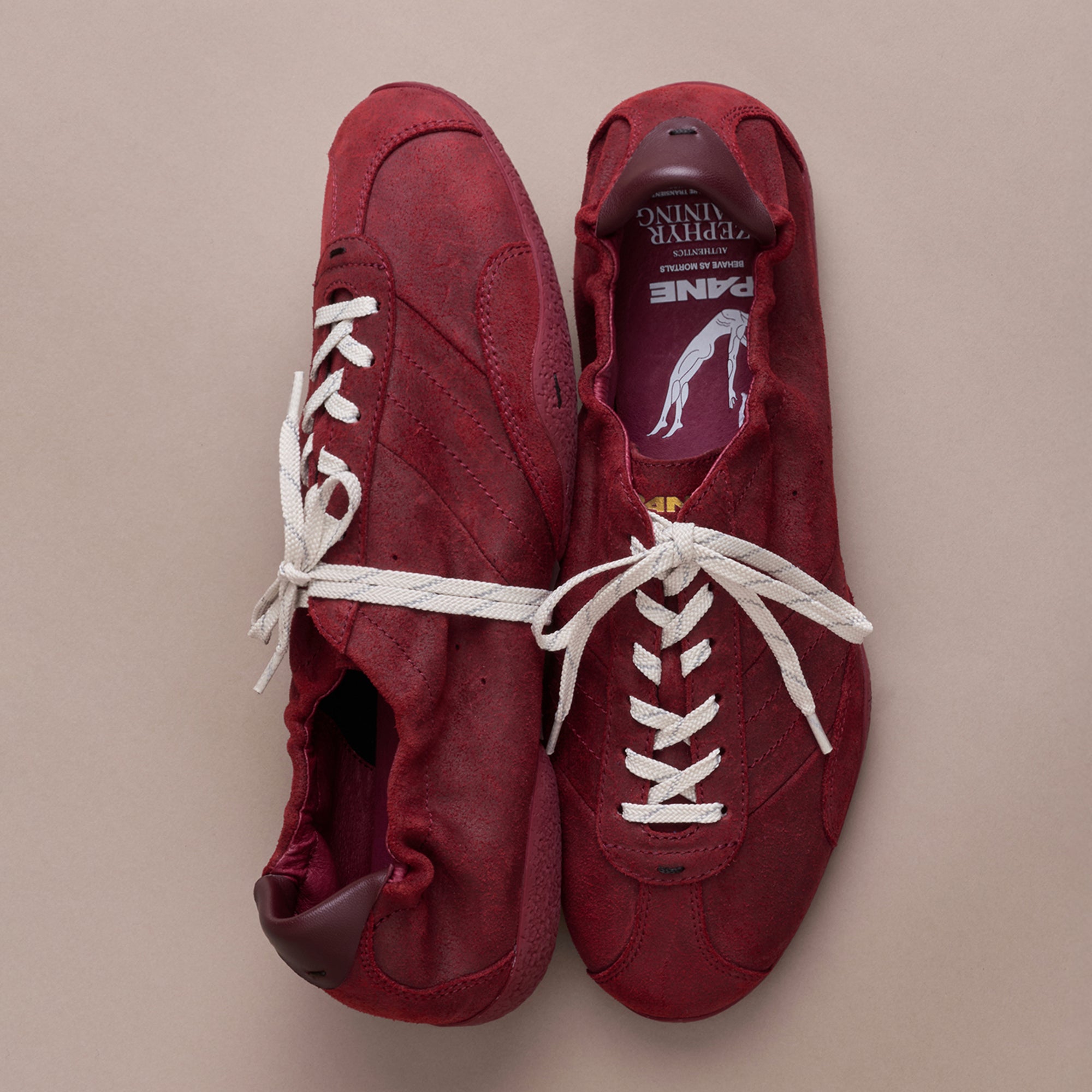 Pane Zephyr Training Pouching Men’s Shoes – Maroon