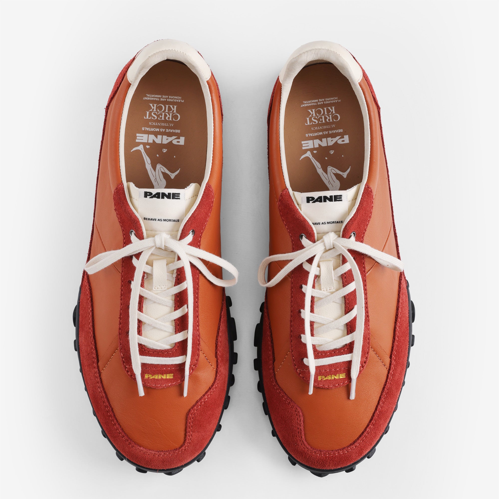 Pane Crest Kick Men’s Shoes – Ridge