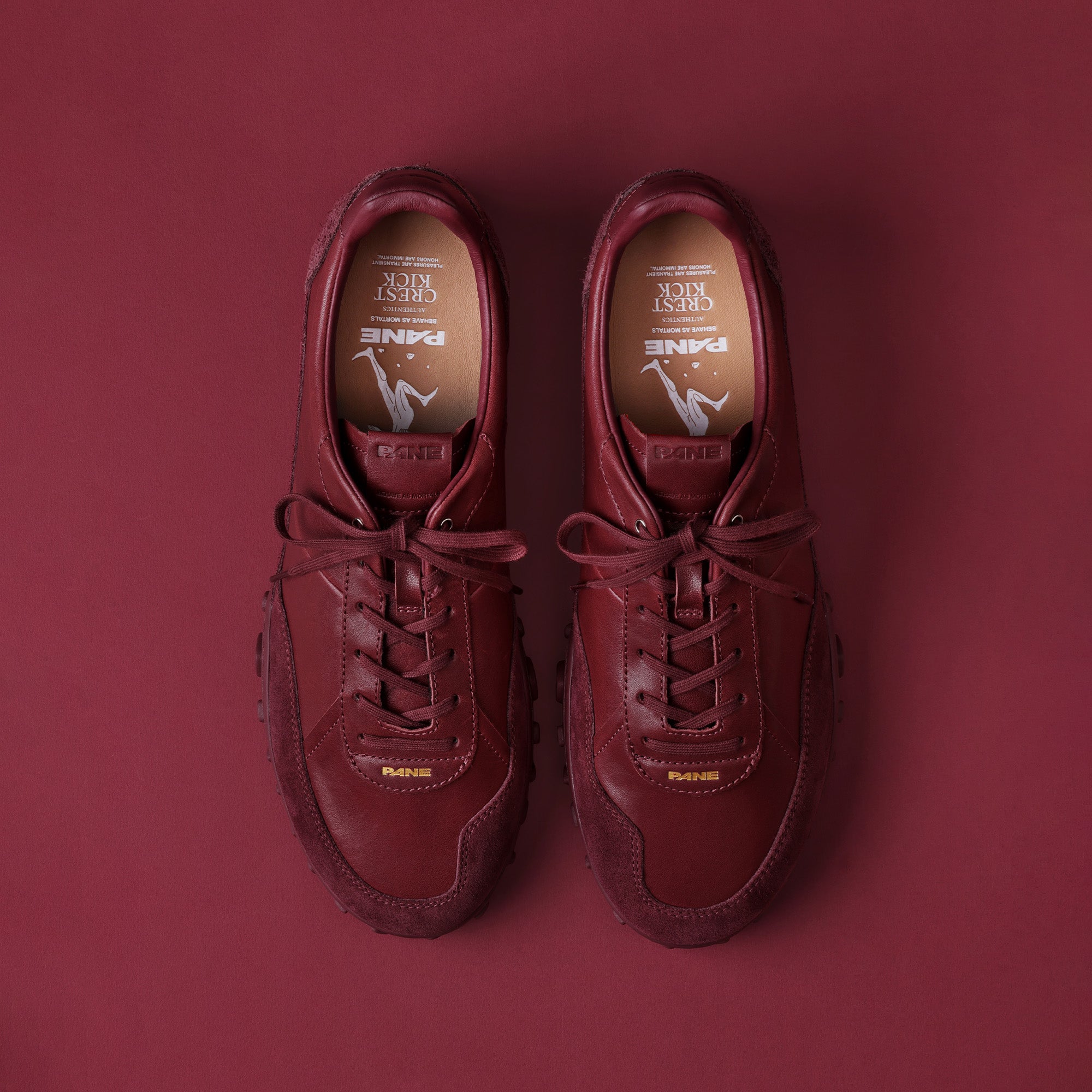 Pane Crest Kick Men’s Shoes - Winery