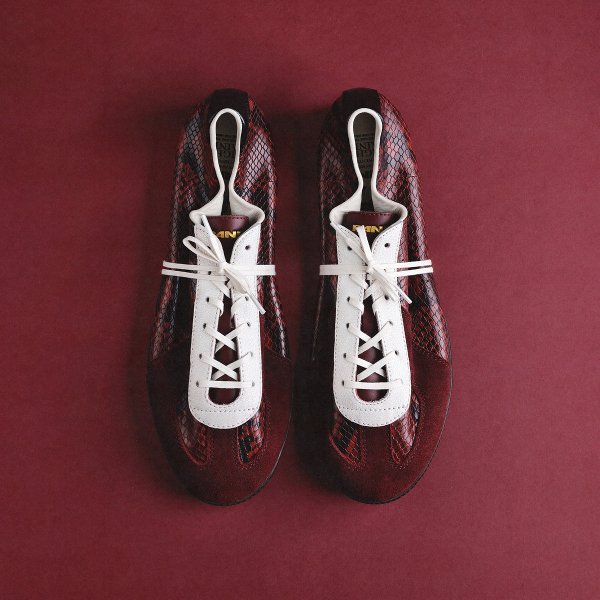 Pane Light Training Nogi Men’s Shoes – Siphlophis