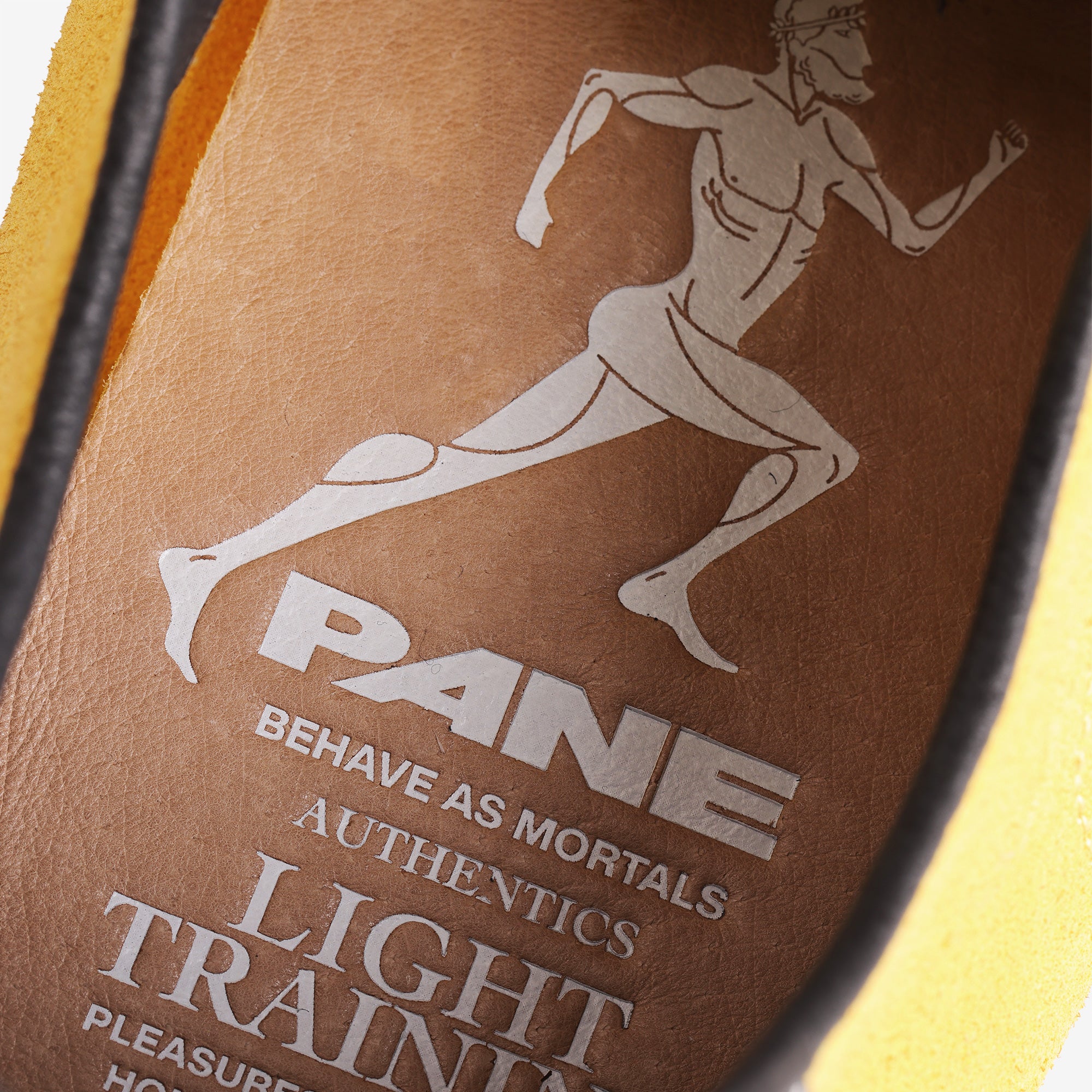 Pane Light Training Nogi Men’s Shoes – Hornet