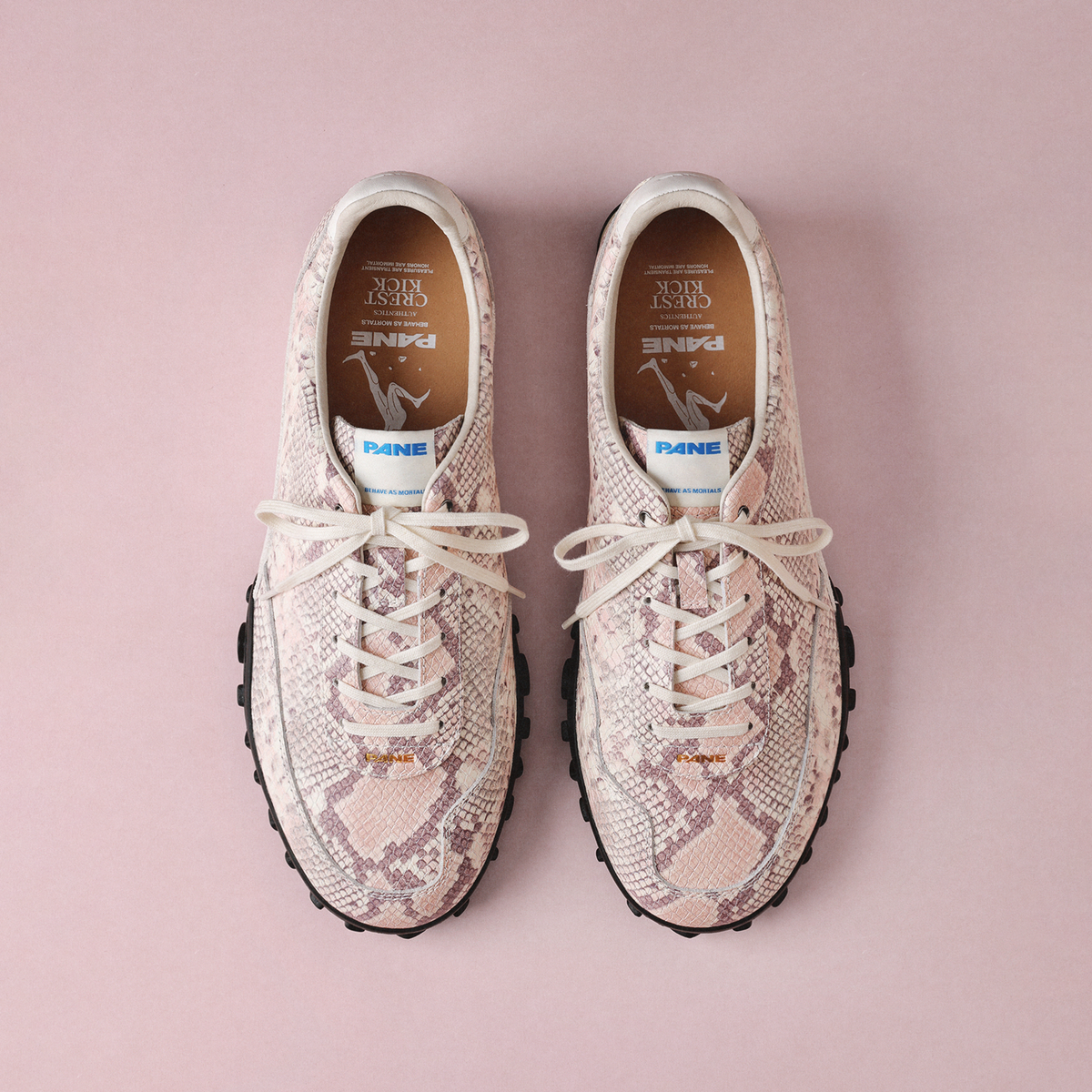 Pane Crest Kick Men’s Shoes - Rose Mist