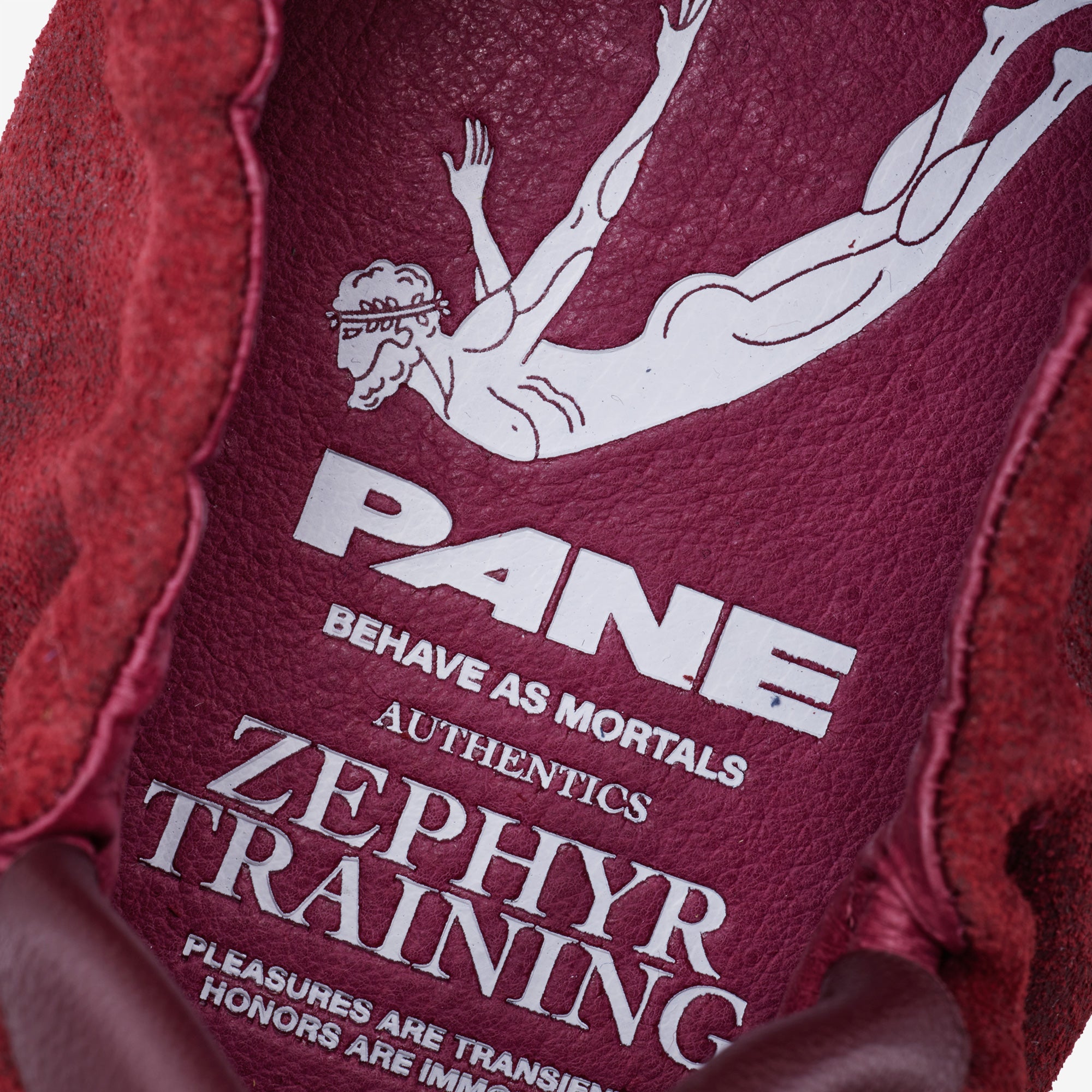Pane Zephyr Training Pouching Women’s Shoes – Maroon
