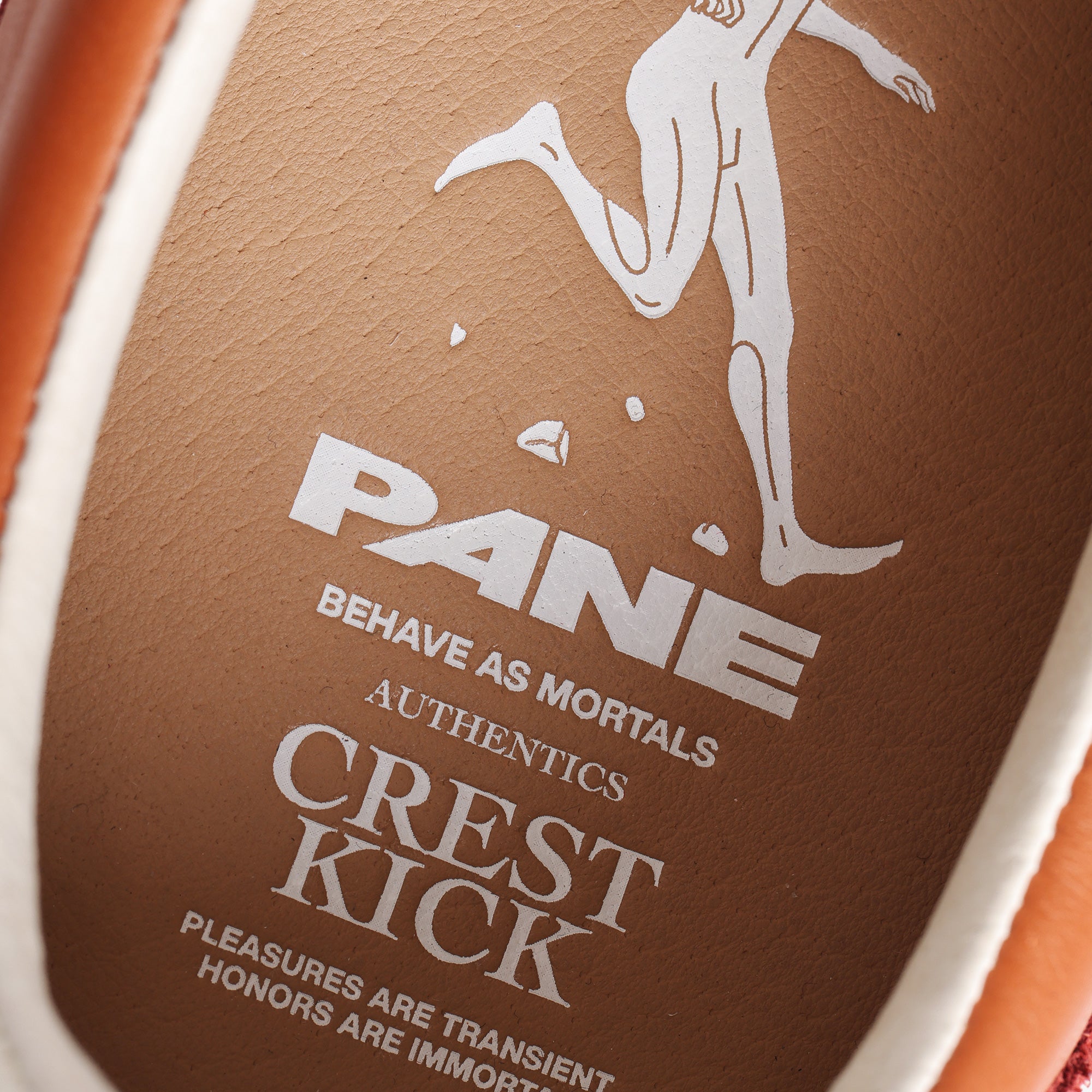 Pane Crest Kick Men’s Shoes – Ridge