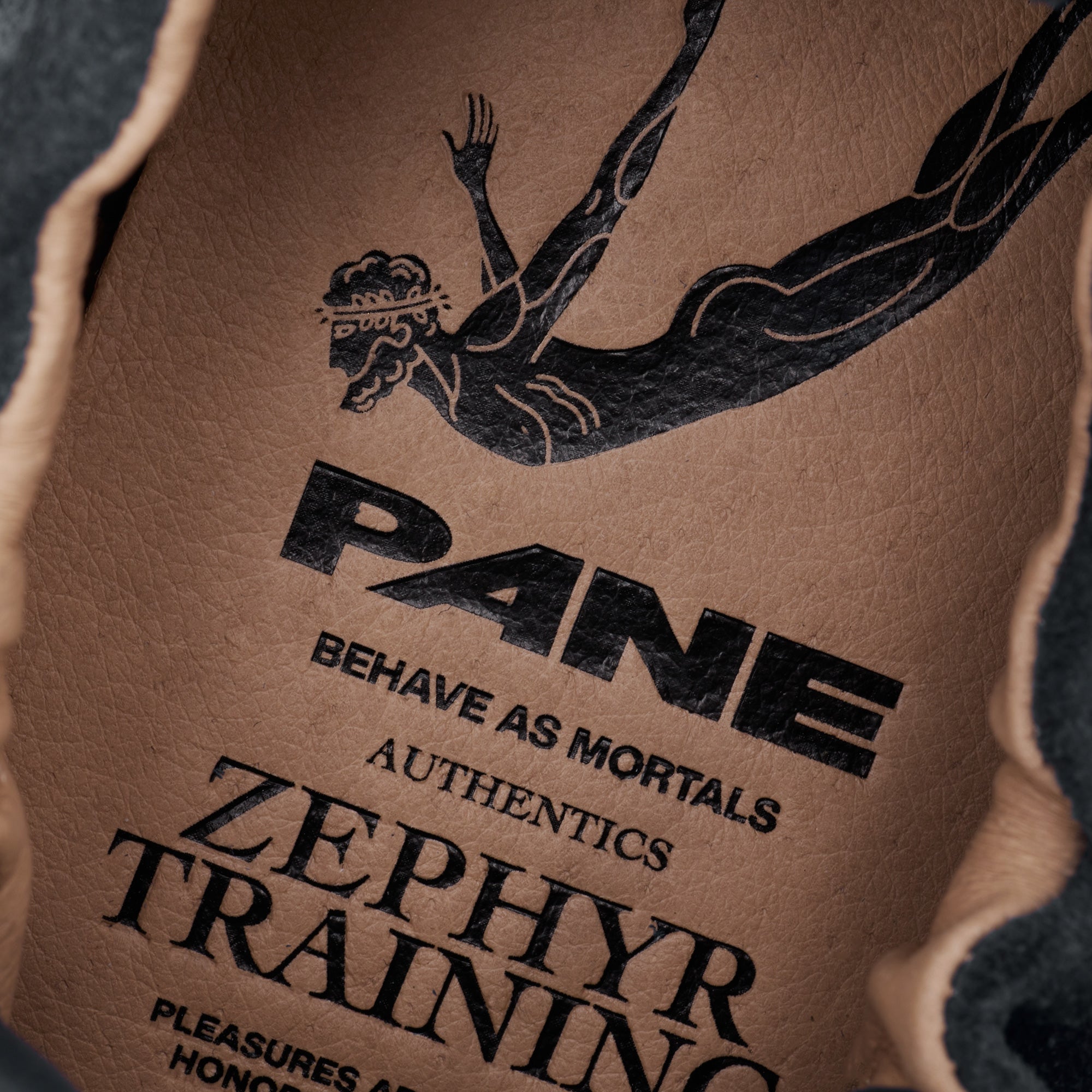 Pane Zephyr Training Pouching Women’s Shoes – Wastly