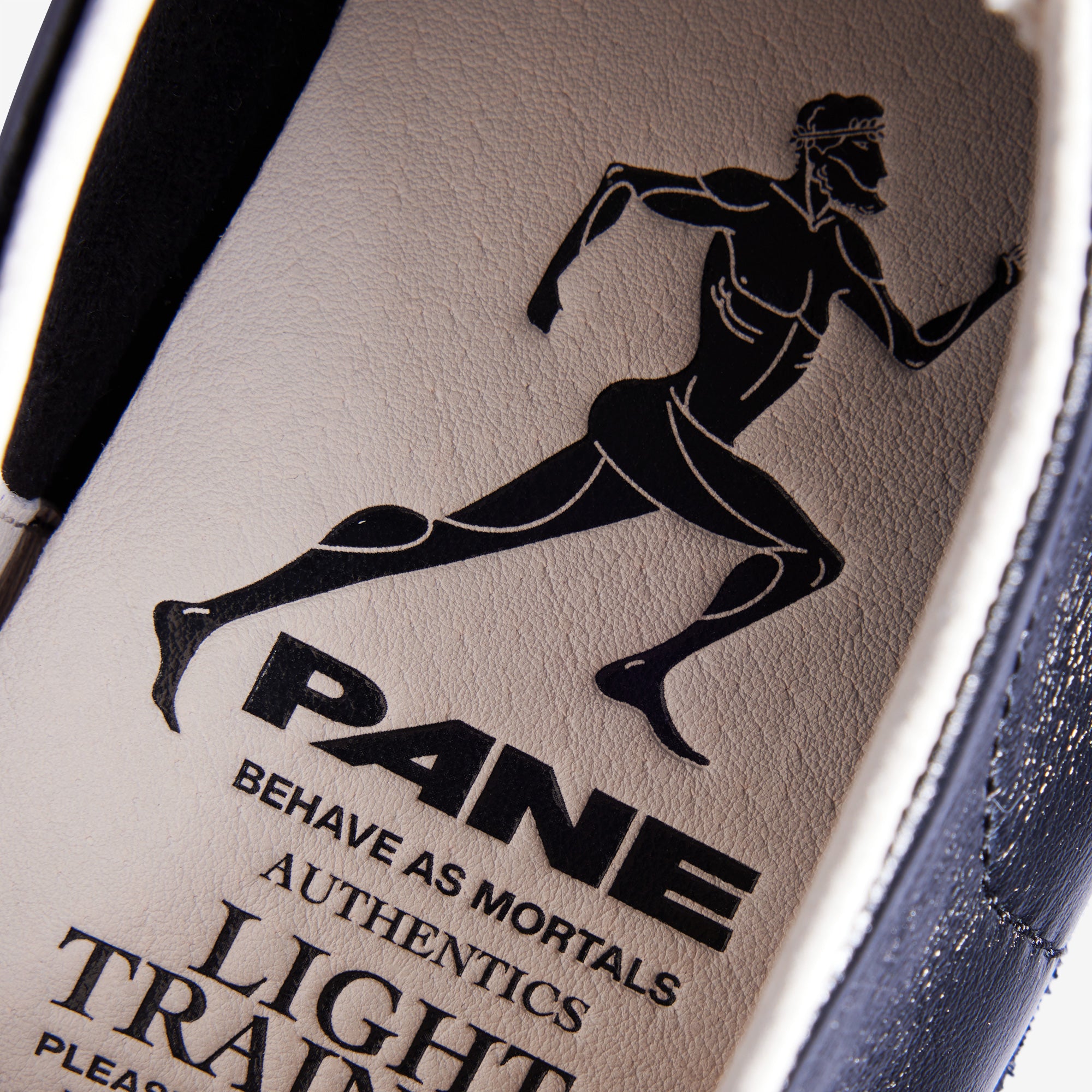 Pane Light Training Nogi Men’s Shoes – Shale