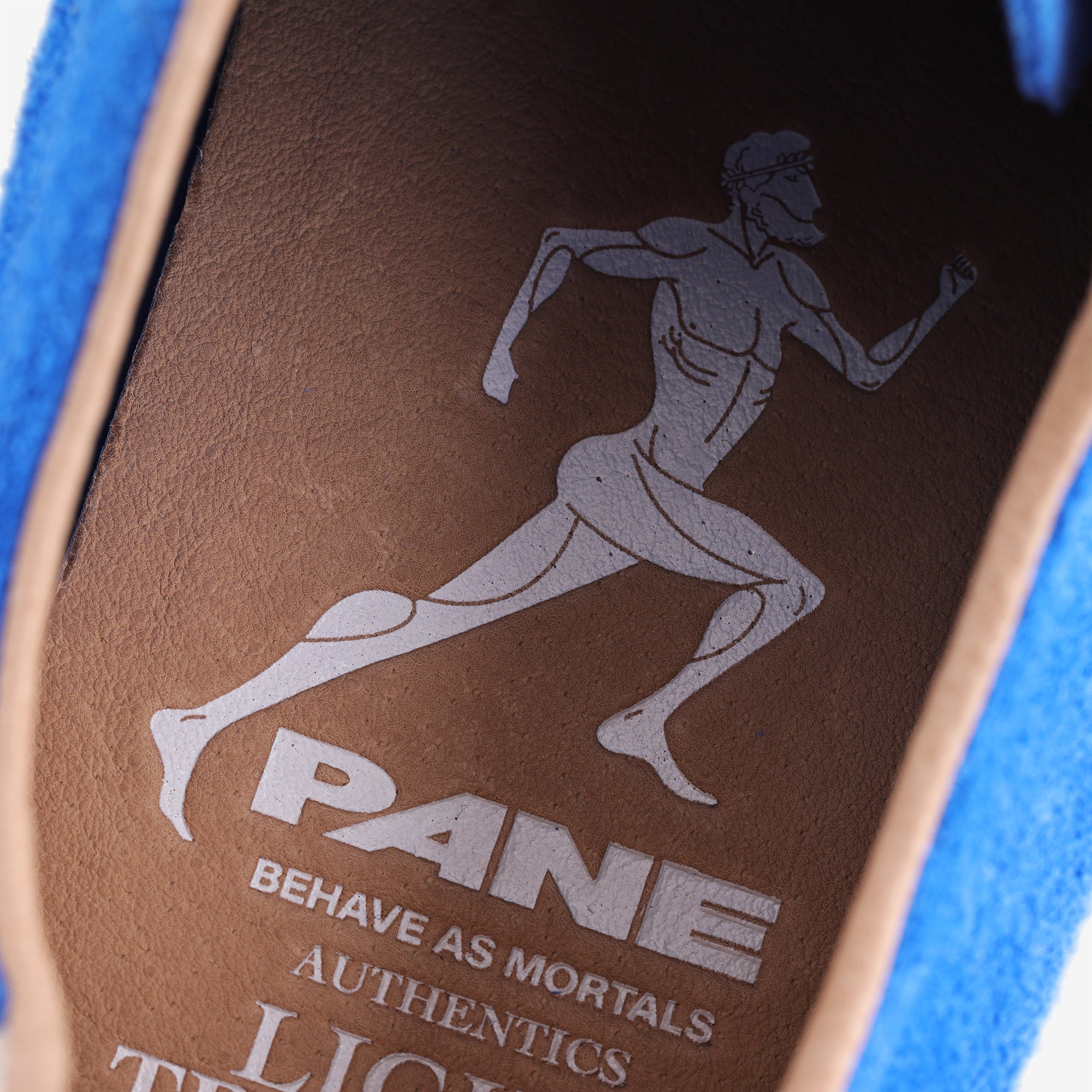 Pane Light Training Nogi Men’s Shoes – Rio De Janeiro