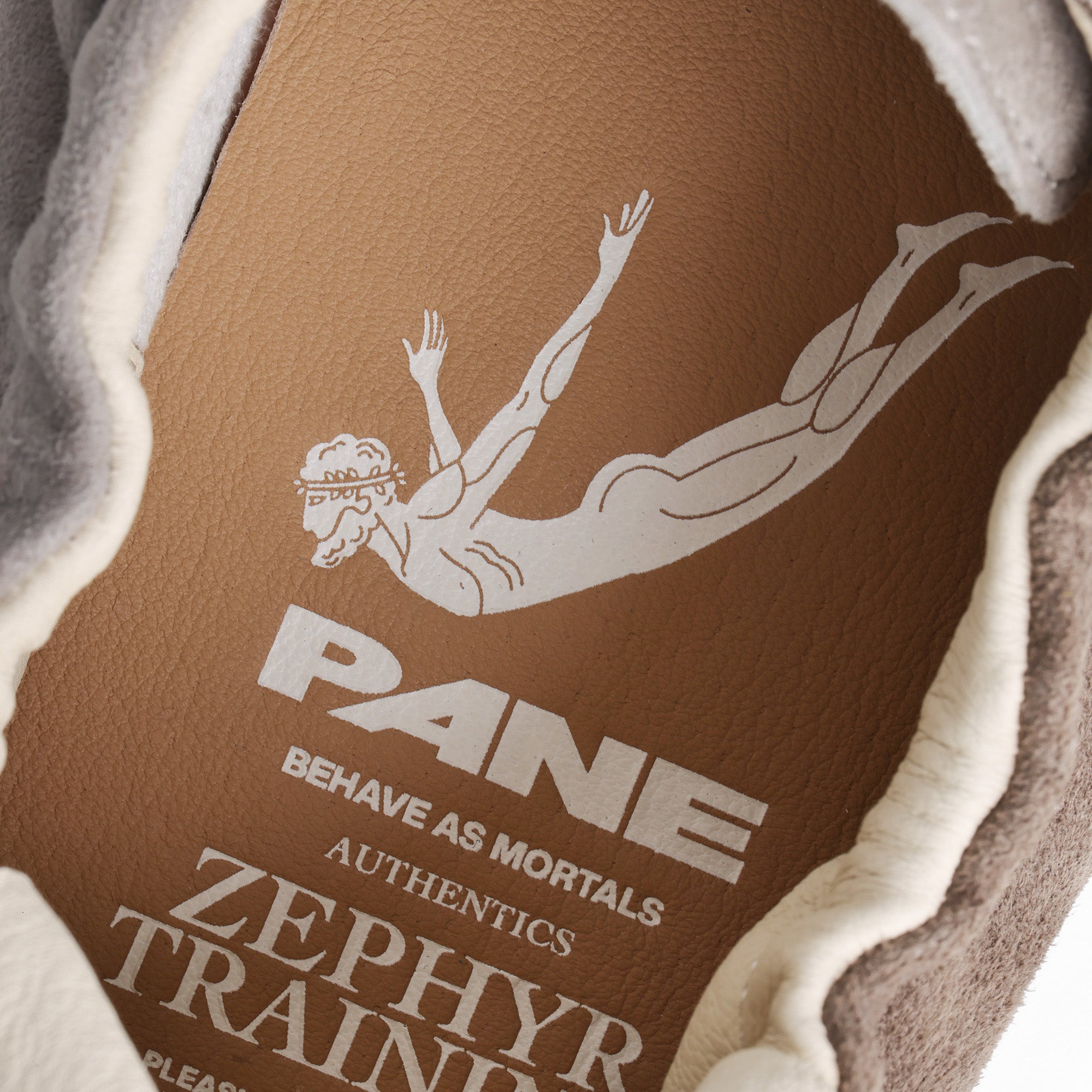 Pane Zephyr Training Men’s Shoes – Gray Moss