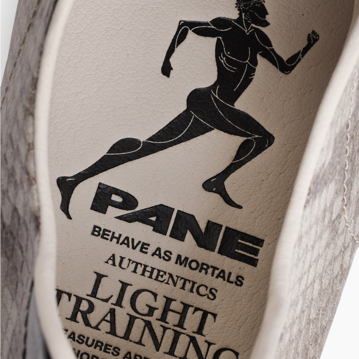 Pane Light Training Nogi Men’s Shoes – Gandal